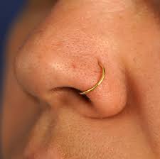 Hoop Gold Nose Ring